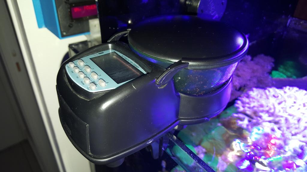 Free 3D file Aquarium fish feeder quantity reducer・3D printer model to ...