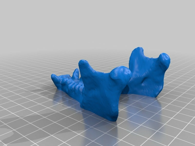 Free STL file sn1 🩻・3D printable model to download・Cults