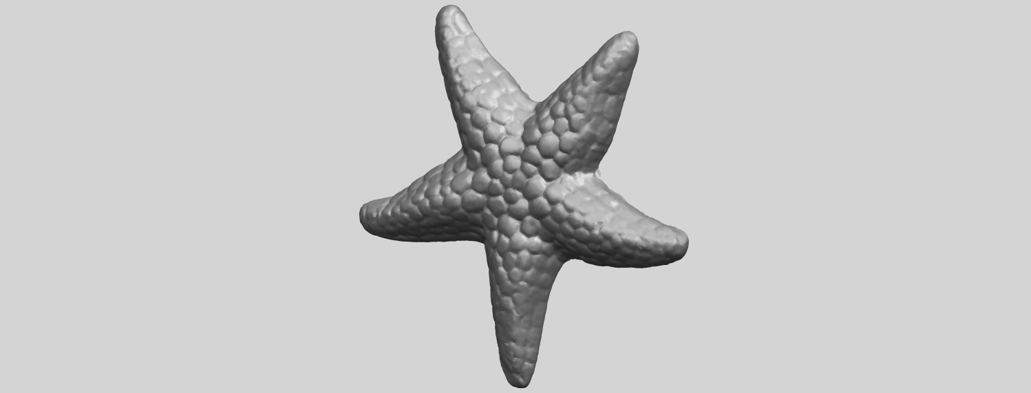 Free 3D file Starfish 02 🚗・Template to download and 3D print・Cults