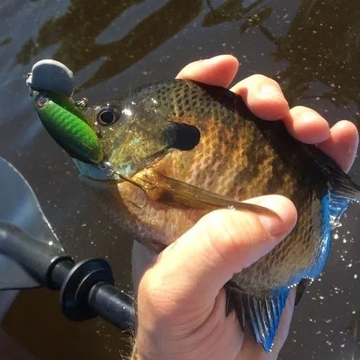 Download STL file Jitterbug Fishing Lure (1/4 oz) • Template to 3D