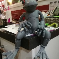 Grenouille Imprimée 3D | Aimant Articulé Grenouille Décoratif Pour