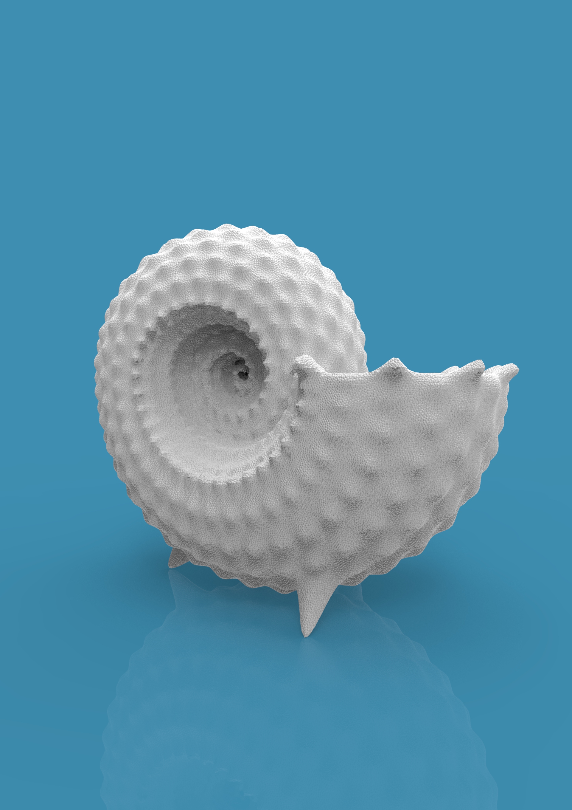 STL file NAUTILUS SHELL - with legs 🐚・Design to download and 3D print・Cults