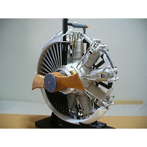Download STL file Radial Engine, WaterCooled, 1910s ・ Cults