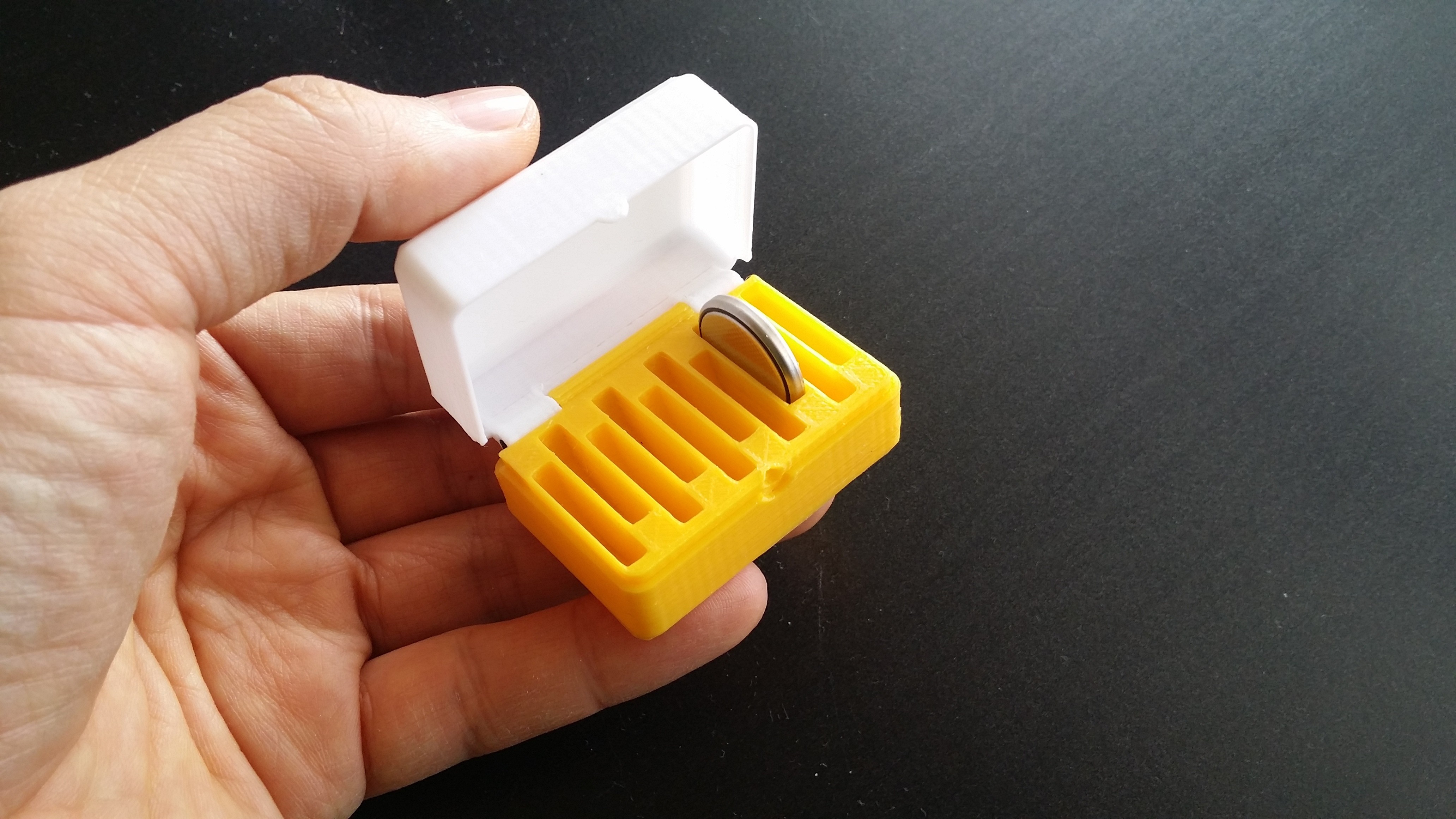 Free STL file CR2032, LR44, AG13 Coin Battery Case・3D printing design to download・Cults