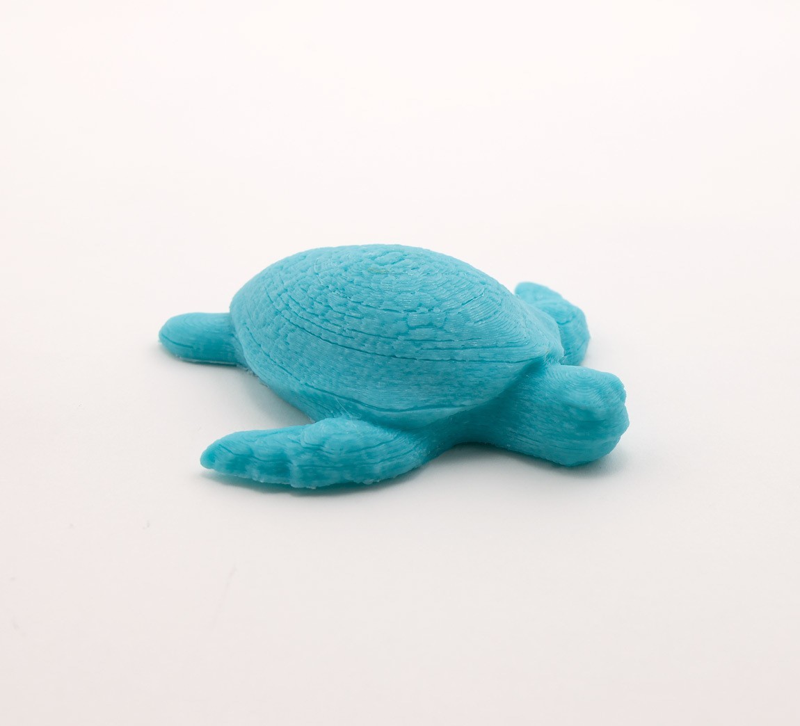 Free STL file Sea Turtle 🐢・3D printing model to download・Cults
