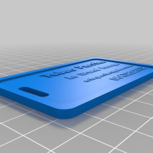 Download free STL file My Customized MultiMaterial Luggage / Bag Tag