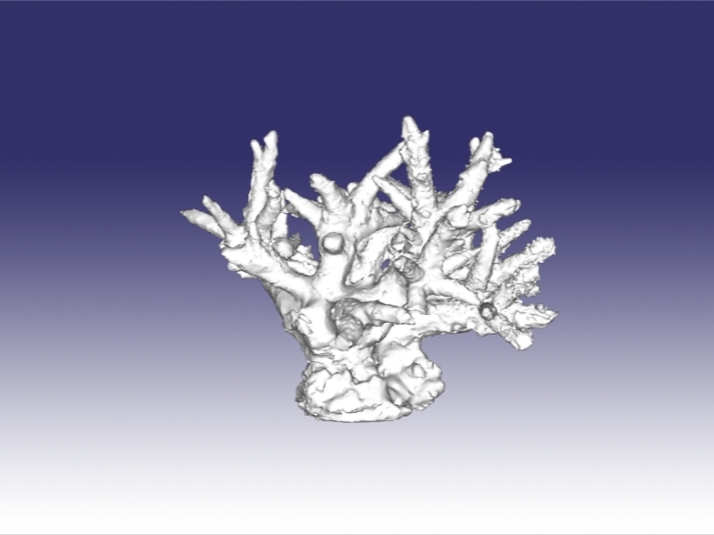 Fichier OBJ Corail・Plan imprimable en 3D à télécharger・Cults