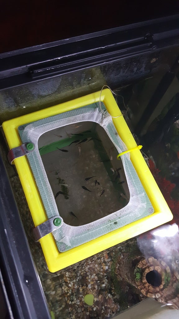 Free STL file Aquarium Breeder Net Float 🐠・3D print object to download