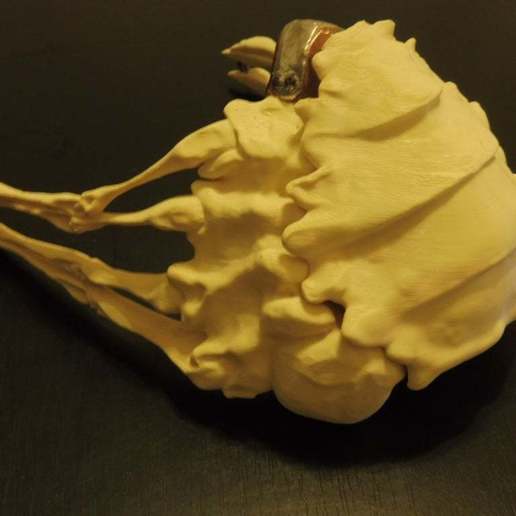 Download free 3D printing templates Facehugger Covid Mask ( E.T. help