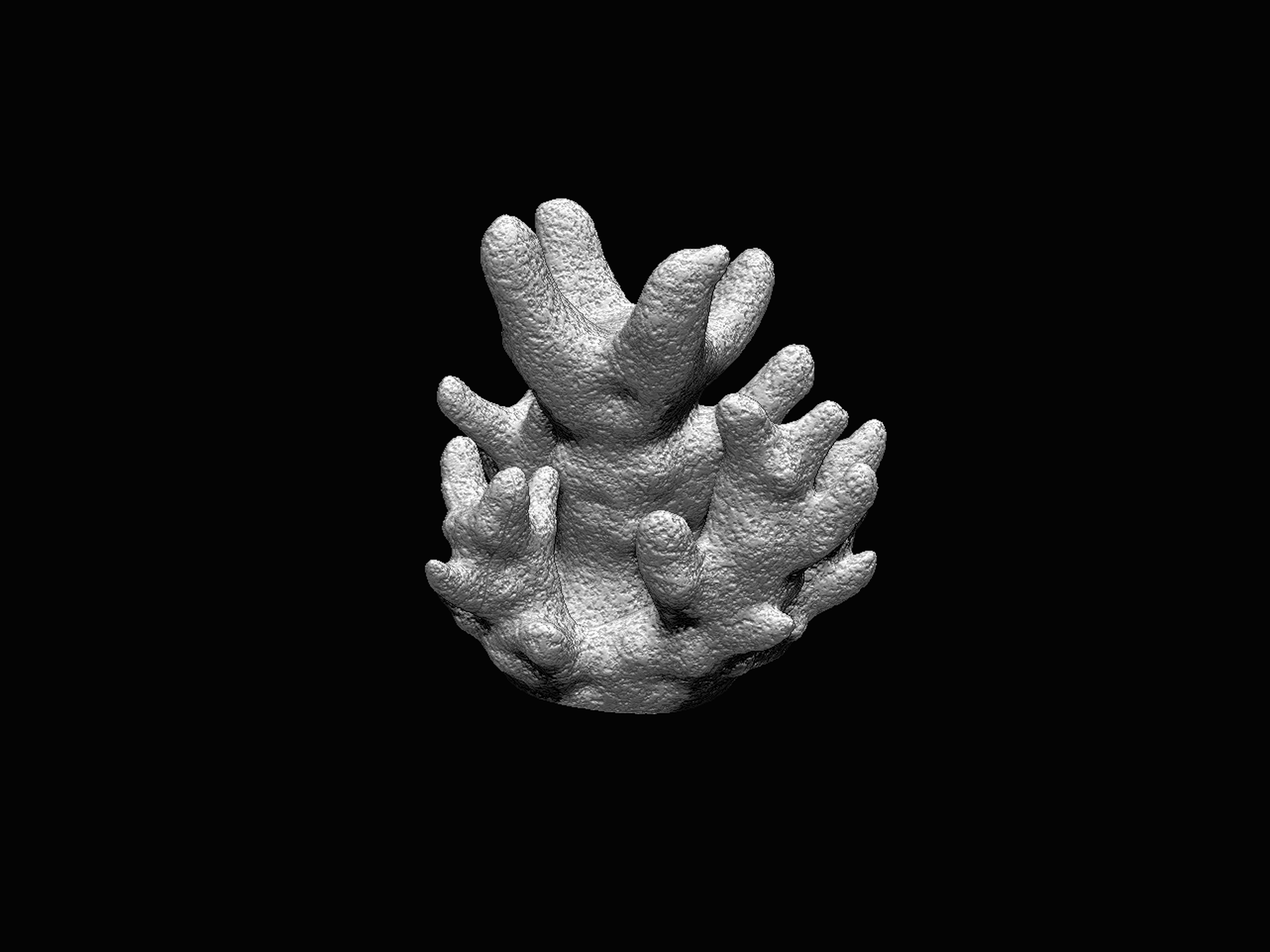 Fichier STL Corail Atropora Texturé 👽・Plan imprimable en 3D à ...