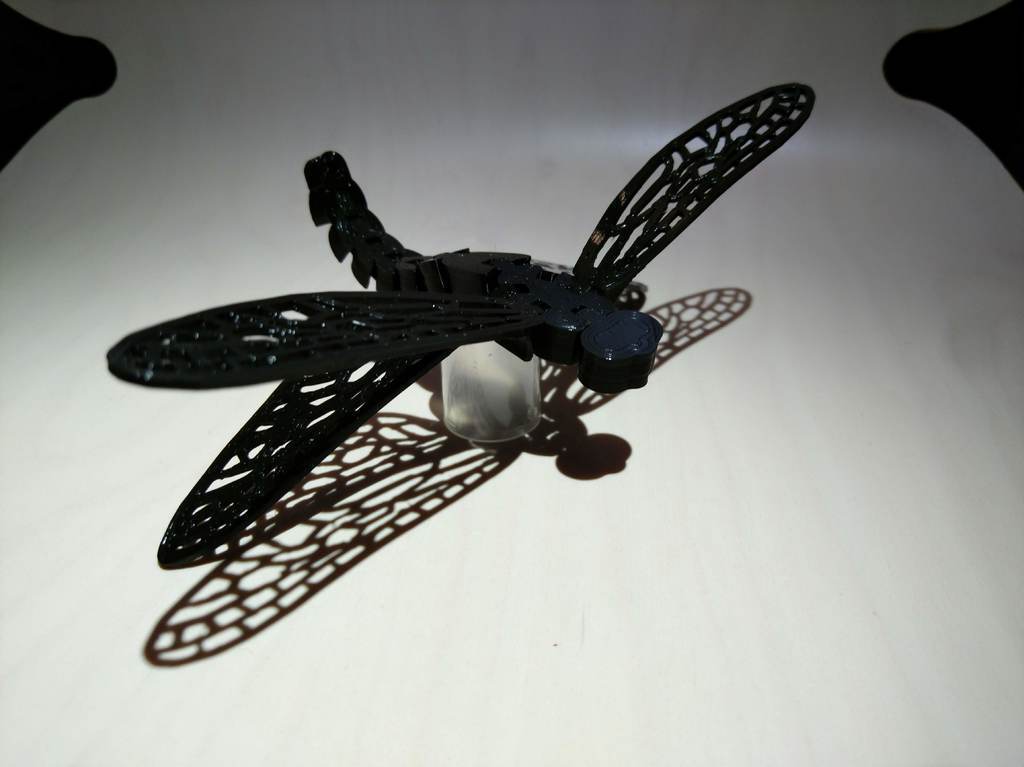 dragon fly wings 3d model free download dragon fly wings 3d model free download