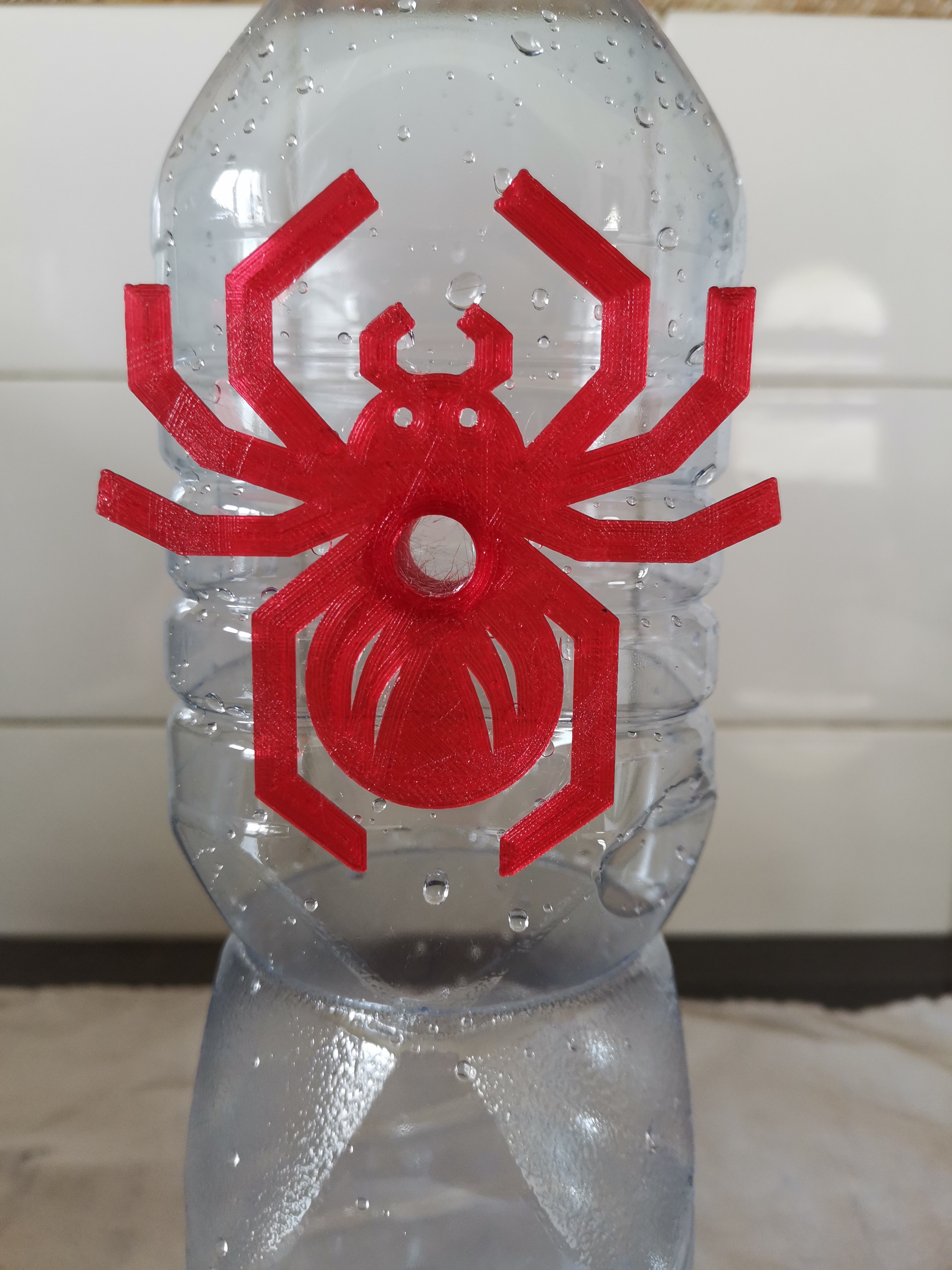 Wasp trap Spider