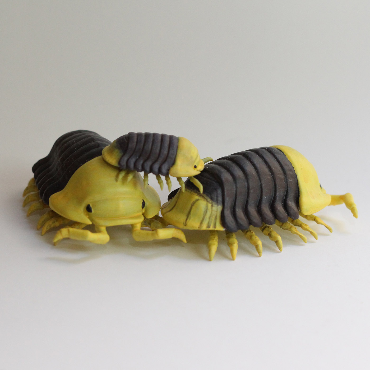 STL file Cubaris Rubber Ducky Isopod Roly Poly・3D printable design to