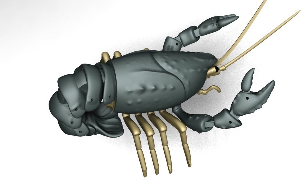 Download free STL file Articulated Crayfish • 3D print object ・ Cults