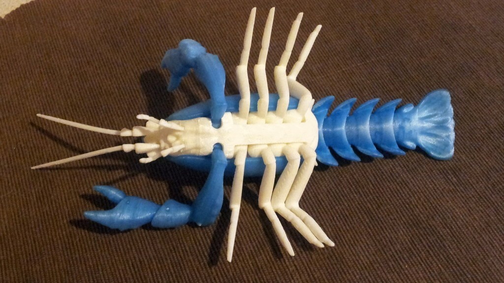 Free STL file Articulated Crayfish 🦞・Model to download and 3D print・Cults