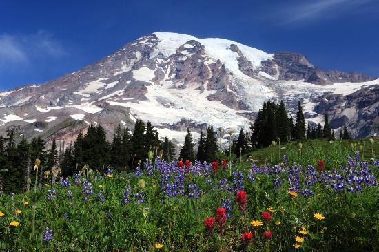 Free STL file Mount Rainier・3D printer design to download・Cults