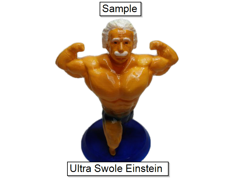 Free STL file Ultra Swole Rabbit Bunny Bodybuilder・3D printer model to ...