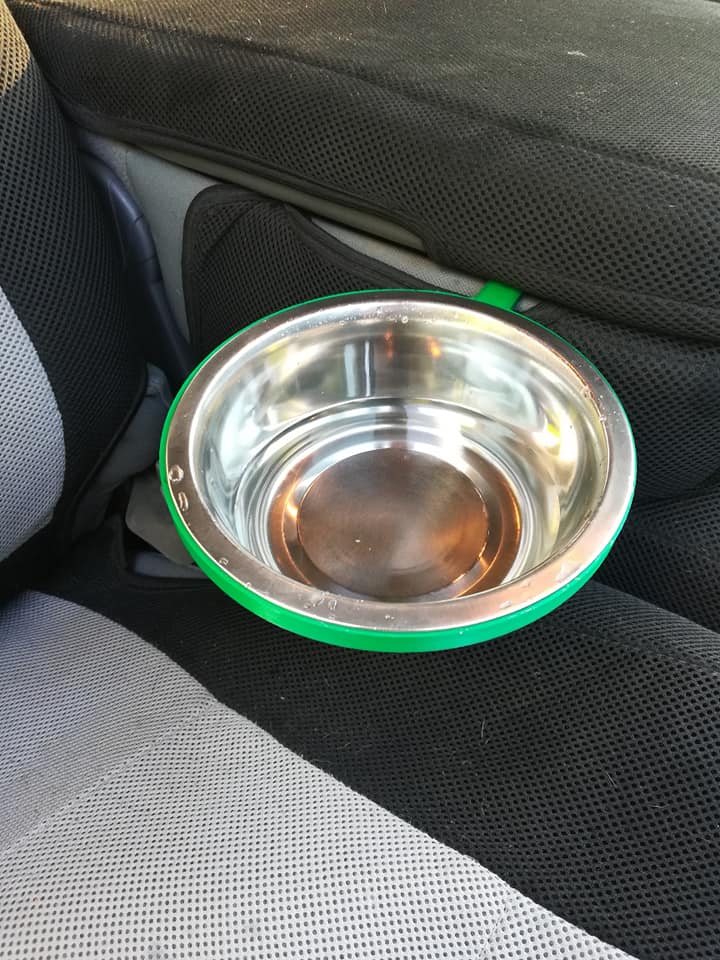 car water bowl