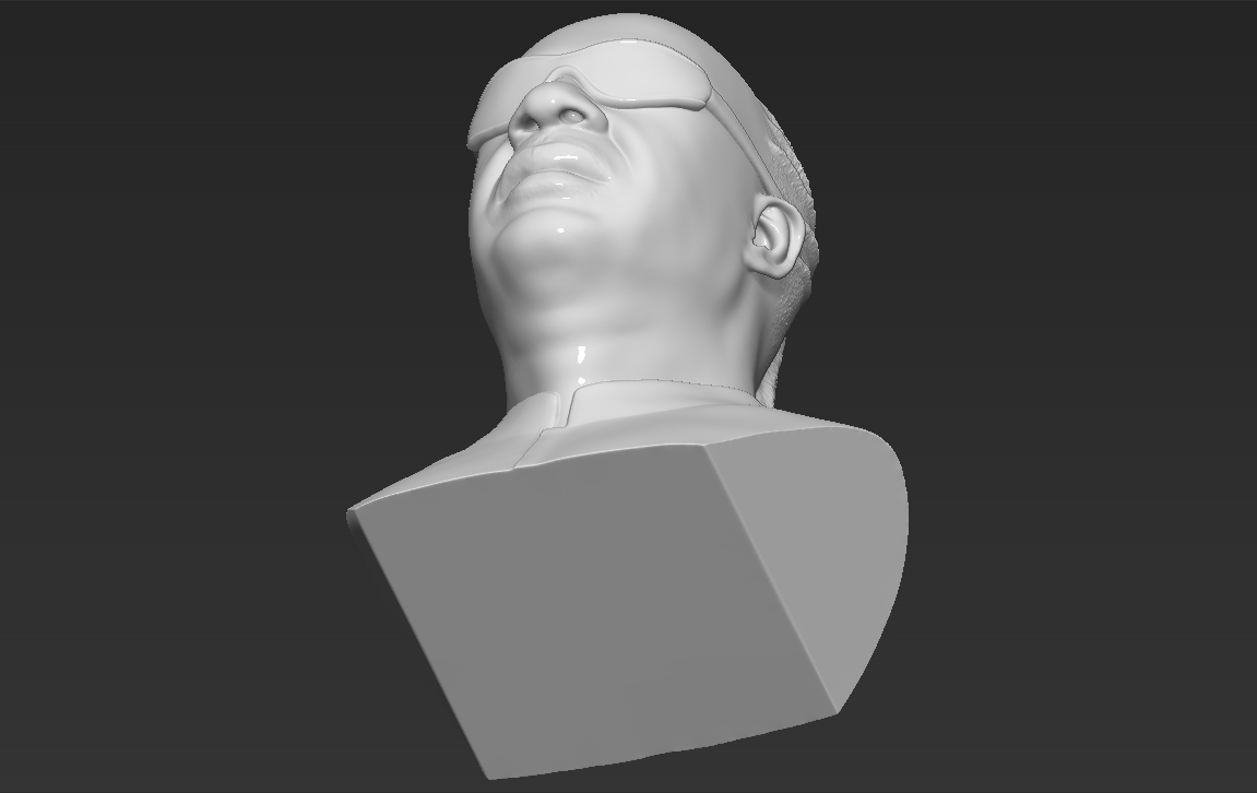 Fichier 3D Stevie Wonder a mis au point des formats stl obj prêts pour ...