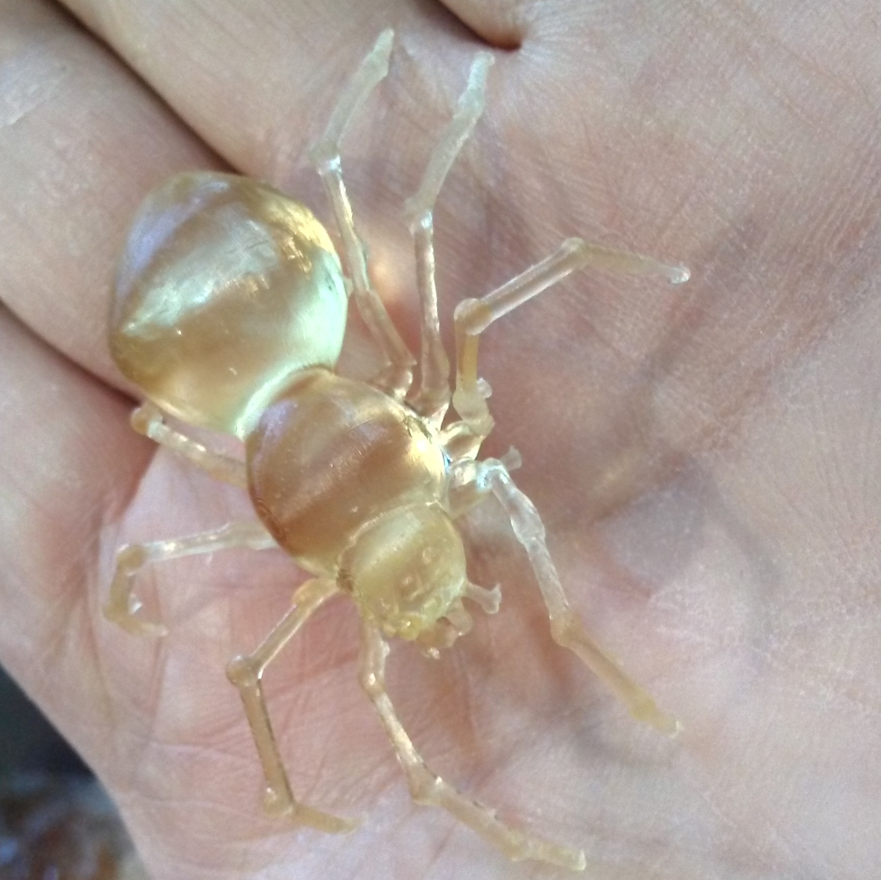 OBJ file Realistic Spider for Jewelry or Home Decoration・3D printable ...