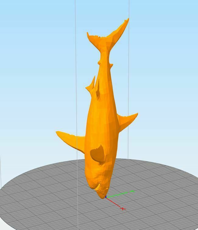 Free 3D file Shark・3D printable model to download・Cults
