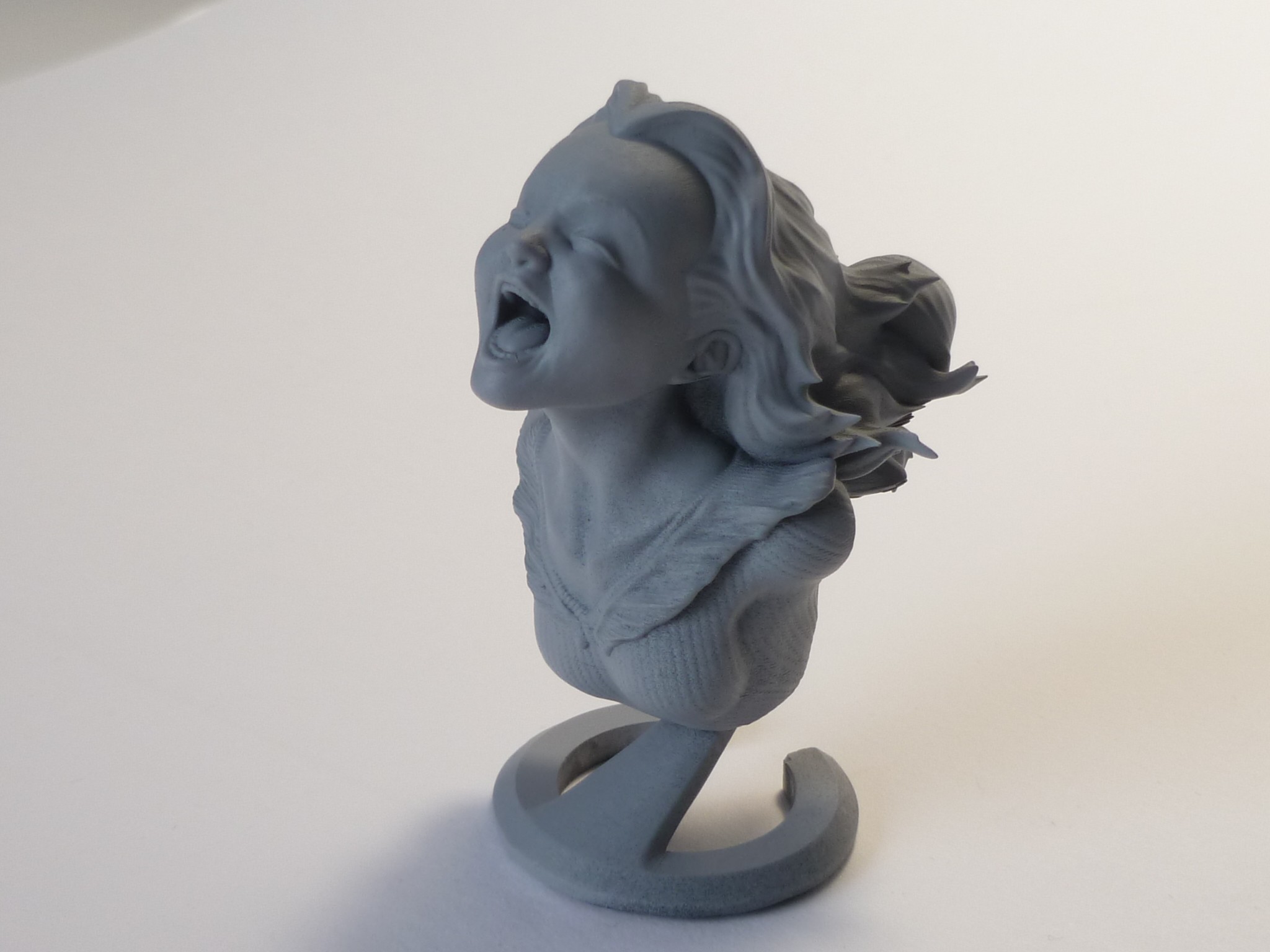 3D print The Joyful Yell • made with Anycubic Photon・Cults