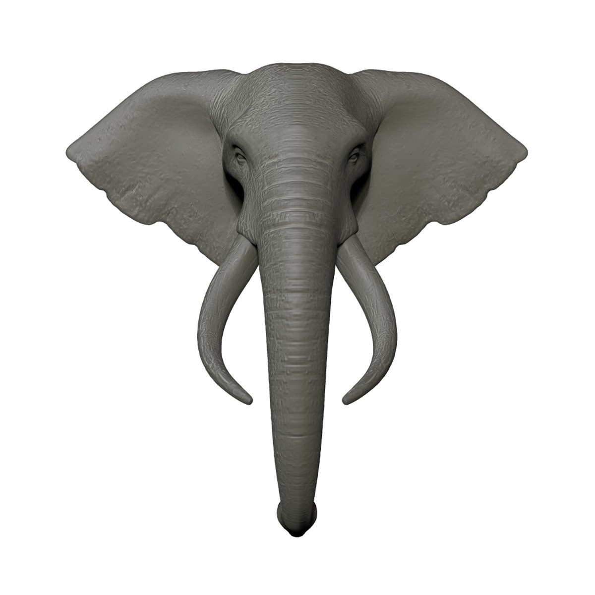 Elephant Head Trophy Wall Mount Elephant Head Trophy Wall Mount