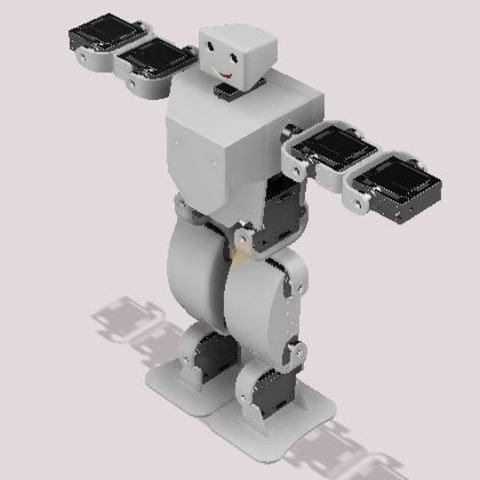 MINI HUMANOID