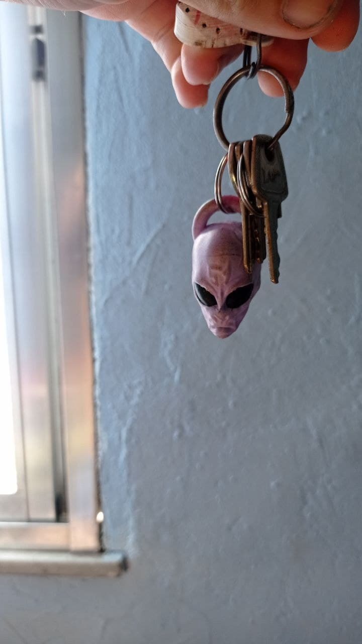 Free 3D file alien keychain・3D printer design to download・Cults