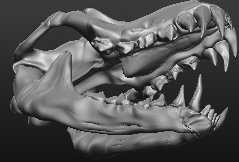 Skeleton Ravager Texture Файл OBJ Ravager Skull・Модель для печати в 3D скачать・Cults