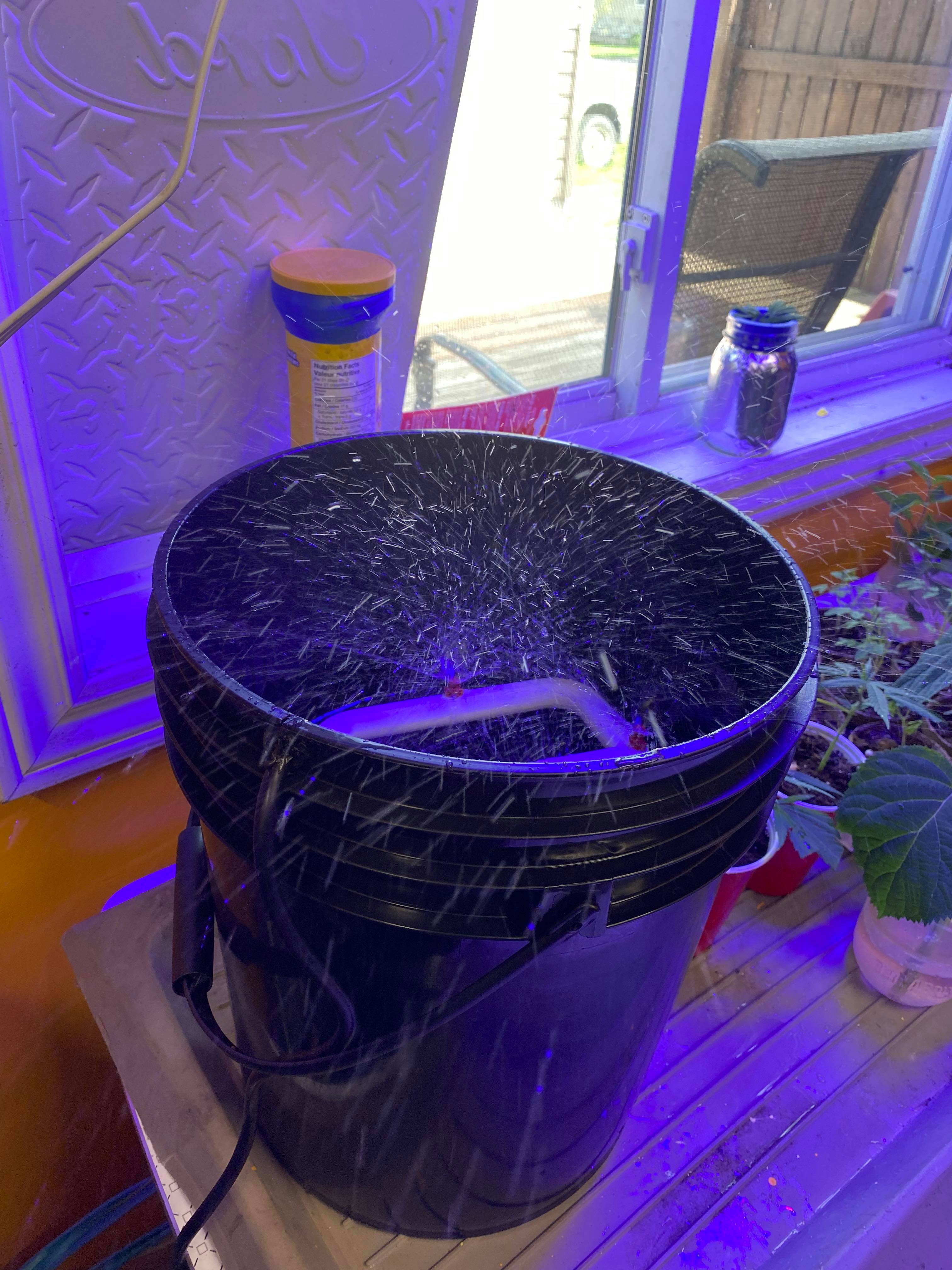 STL file Aeroponics Sprayer for Clones 5 Gallon Bucket 🪣・3D print model