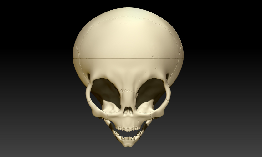 Файл STL GREY ALIEN SKULL V2 WITH BASE 👽・Шаблон для 3D-печати для ...