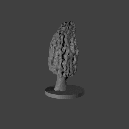 Download STL file morel mushroom 5 • 3D print design ・ Cults