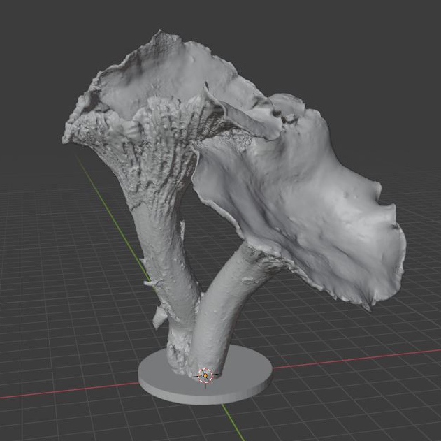 STL File Chanterelle 13 Template To Download And 3D Print Cults stl-file-chanterelle-13-template-to-download-and-3d-print-cults