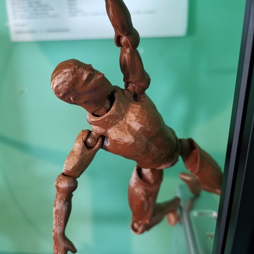 Download 3D printer templates Human Body ・ Cults