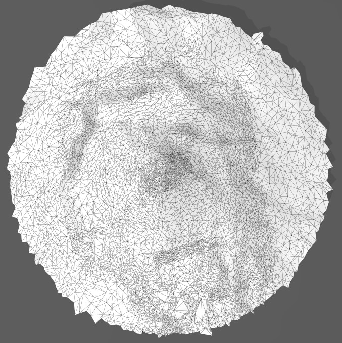 3D file NEVADO DE COLIMA, COLIMA VOLCANO - CIRCULAR 🌋・3D printing ...