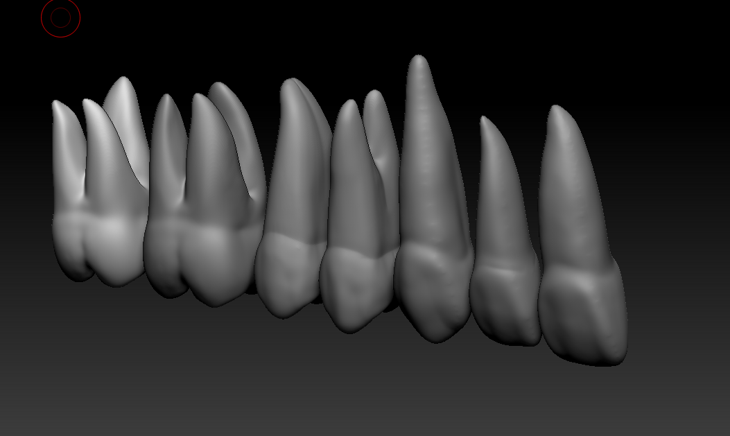 Free STL file full anatomy upper and lower teeth 1 🦷・3D printer model ...