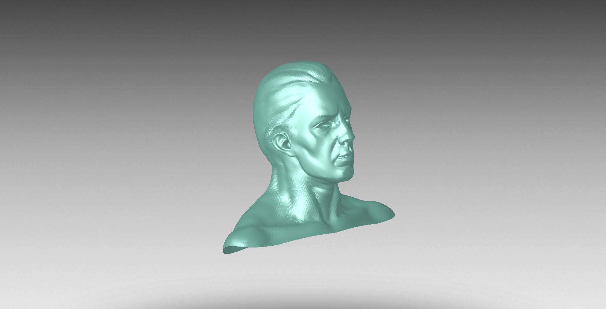 Free 3D file 3D PRINT STL FILE DEMO HEAD・3D printable model to download ...