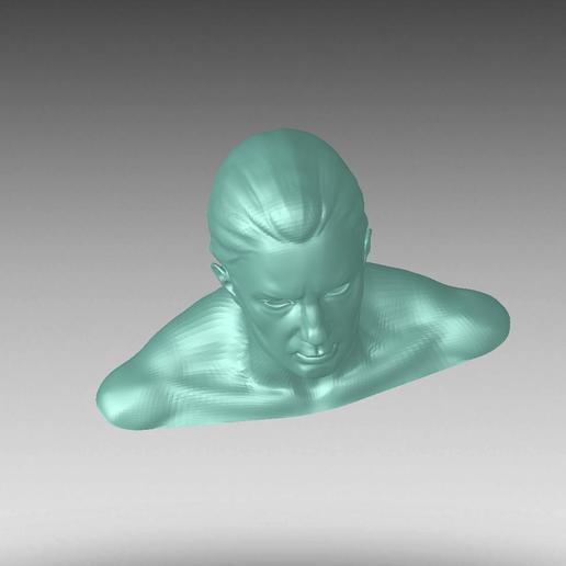 Download free STL file 3D PRINT STL FILE DEMO HEAD • Template to 3D ...