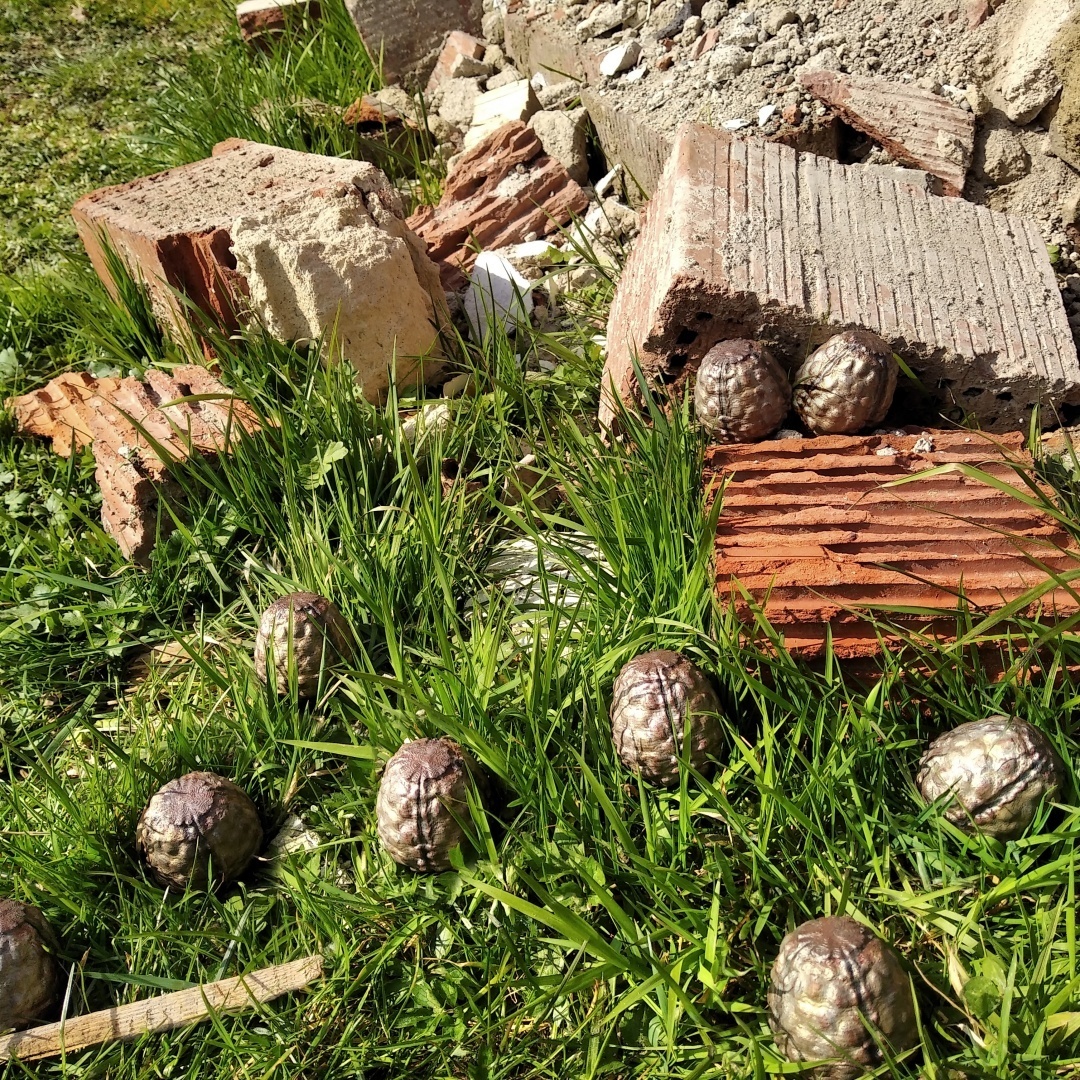 Free STL file Whispering Egg No Man's Sky・3D printing model to