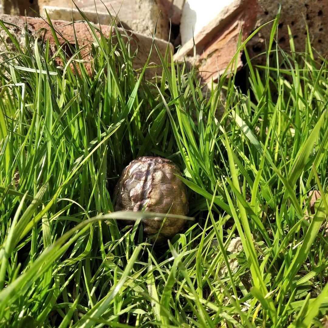 Free STL file Whispering Egg No Man's Sky・3D printing model to