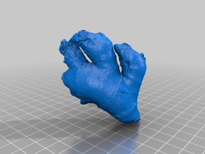 Free 3D file Ginger roots・3D printer model to download・Cults
