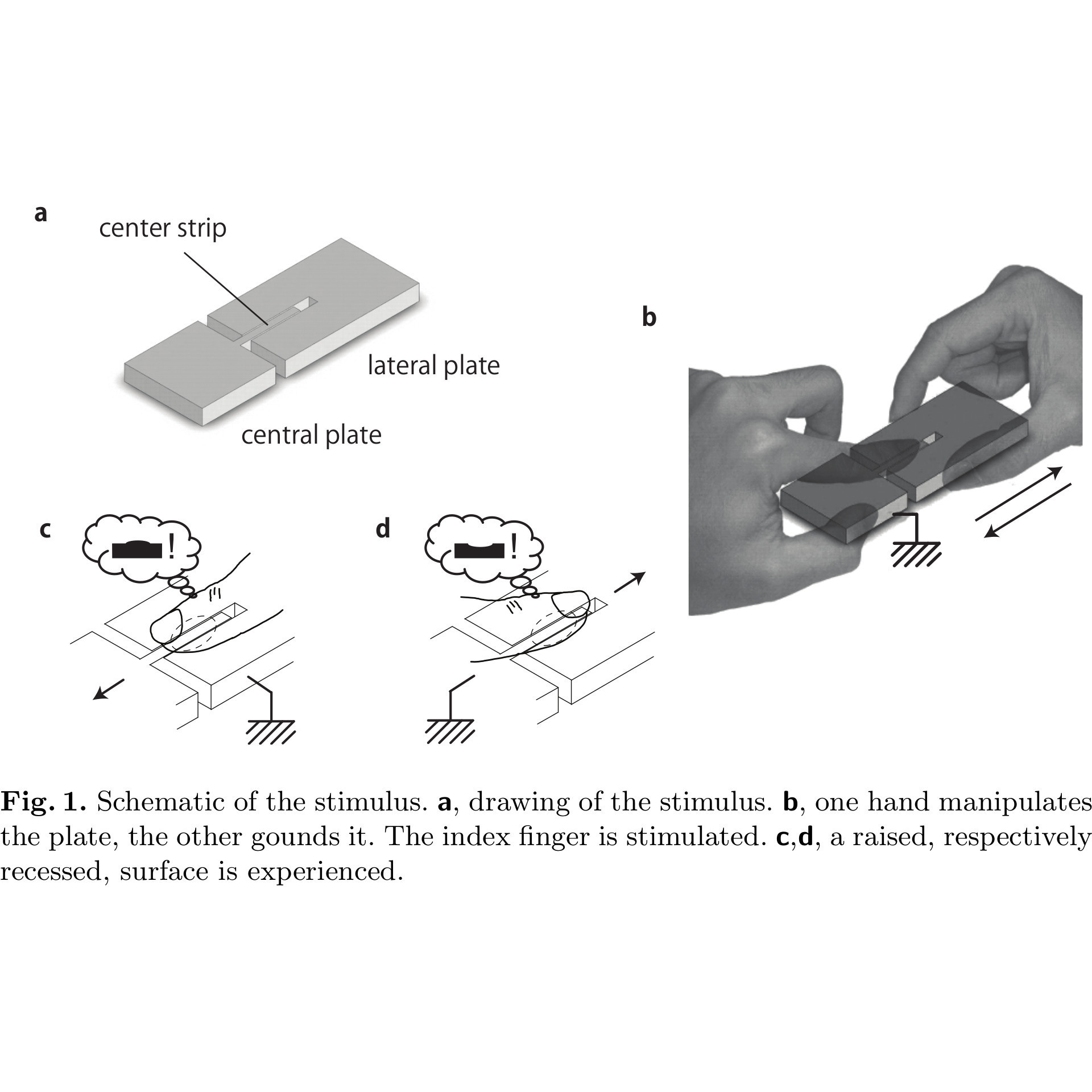 Download free STL file Tactile illusion via tangential skin strain • 3D