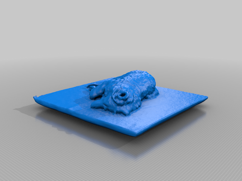 Free 3D file Hazel・3D print model to download・Cults