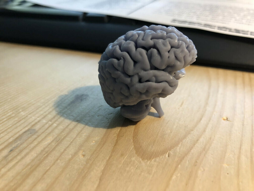 Free 3D file Still Thinking 🤔・3D print model to download・Cults