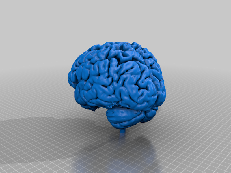 Free 3D file Still Thinking 🤔・3D print model to download・Cults