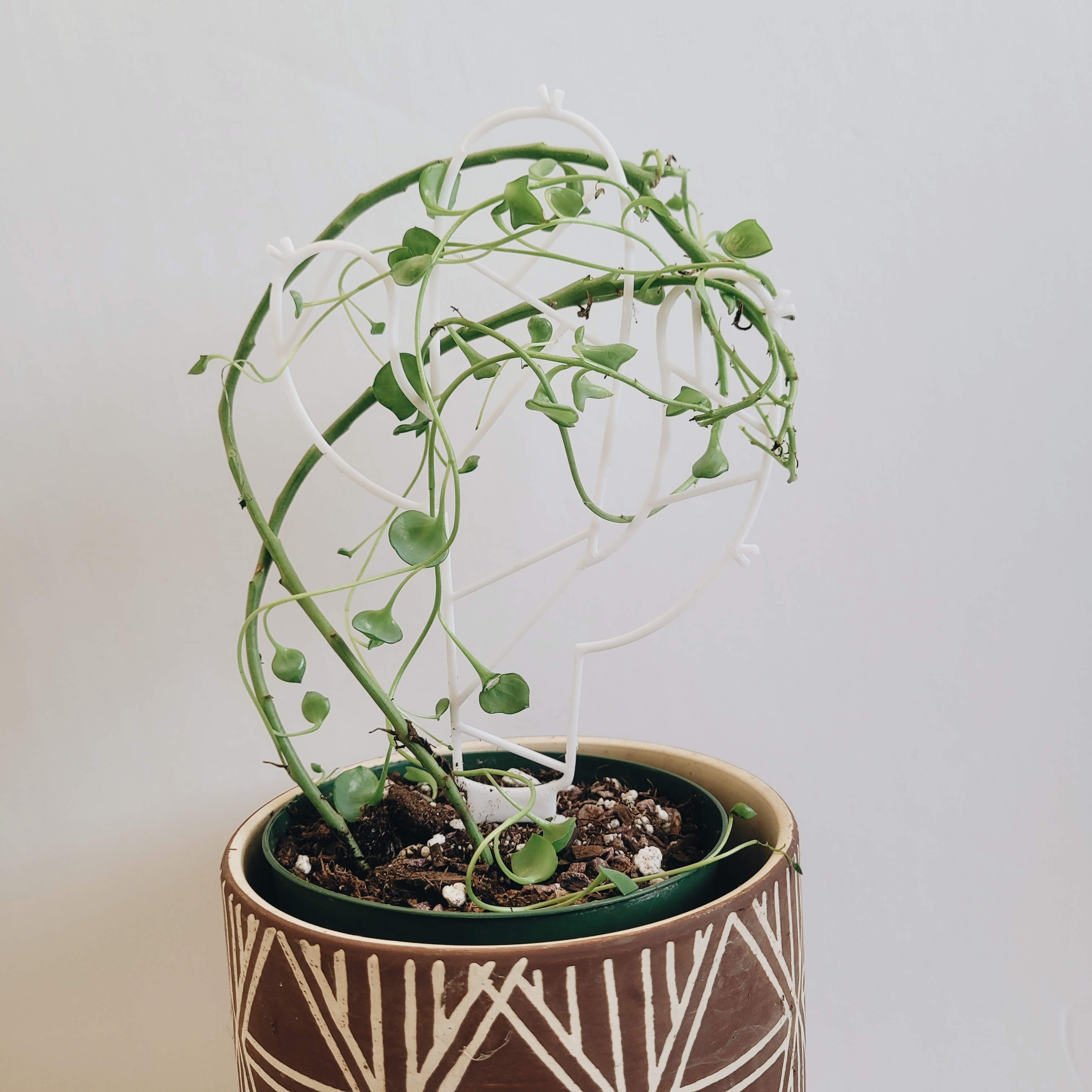 3d printed plant trellis