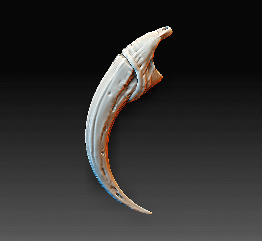 Free STL file Claws medalion・3D printable design to download・Cults