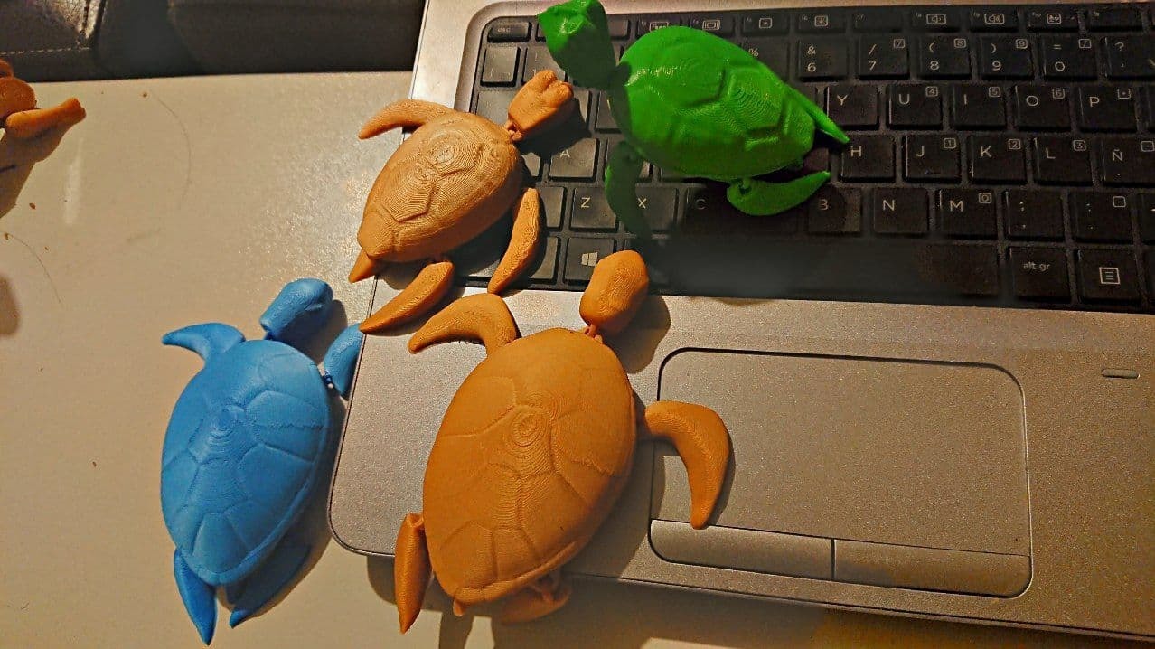 Free STL file Articulated Turtle - Articulated Turtle FLEXI PRINT-IN ...