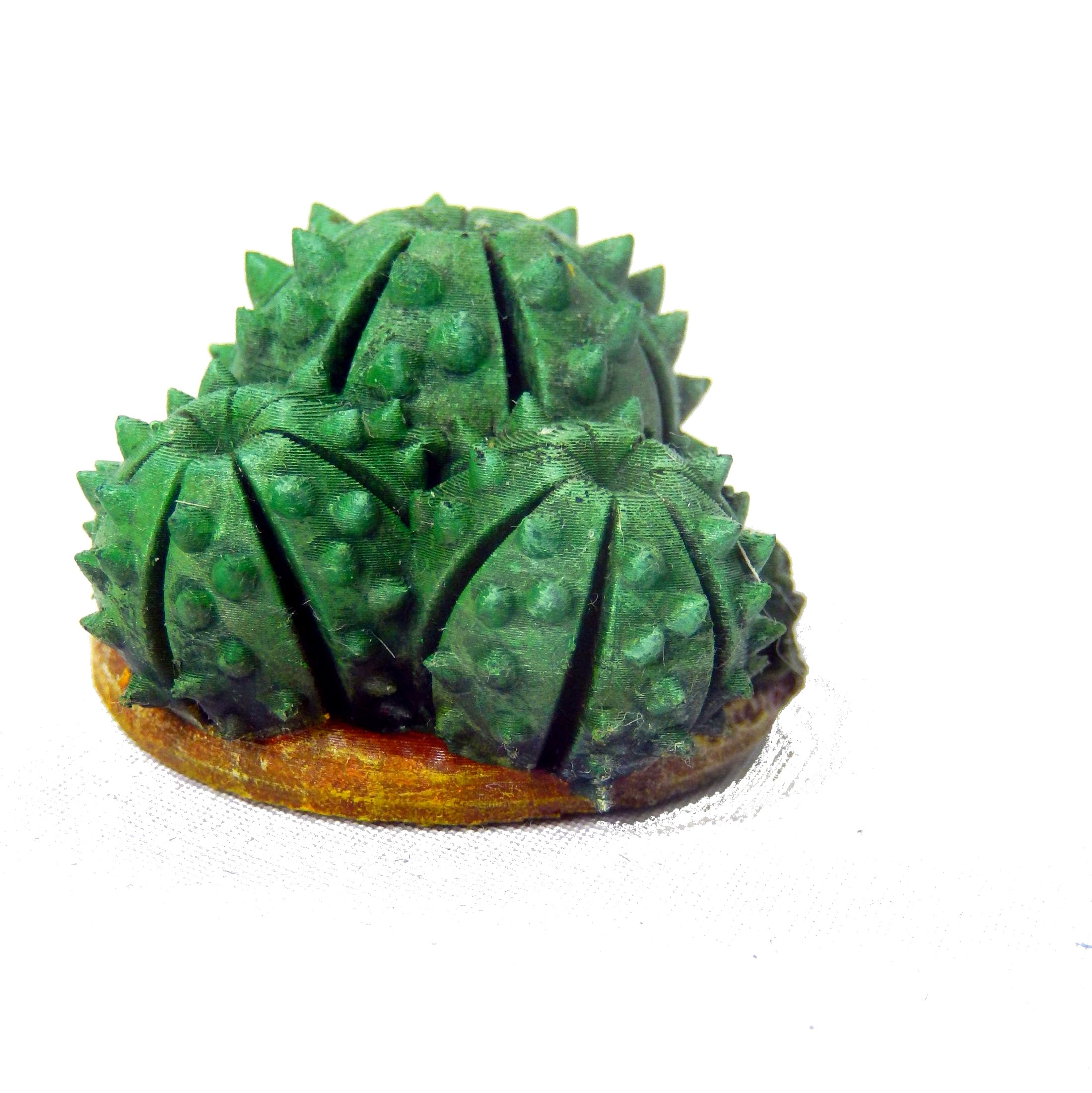 3D file Cactus plant set fantasy scatter terrain (desert plants and ...